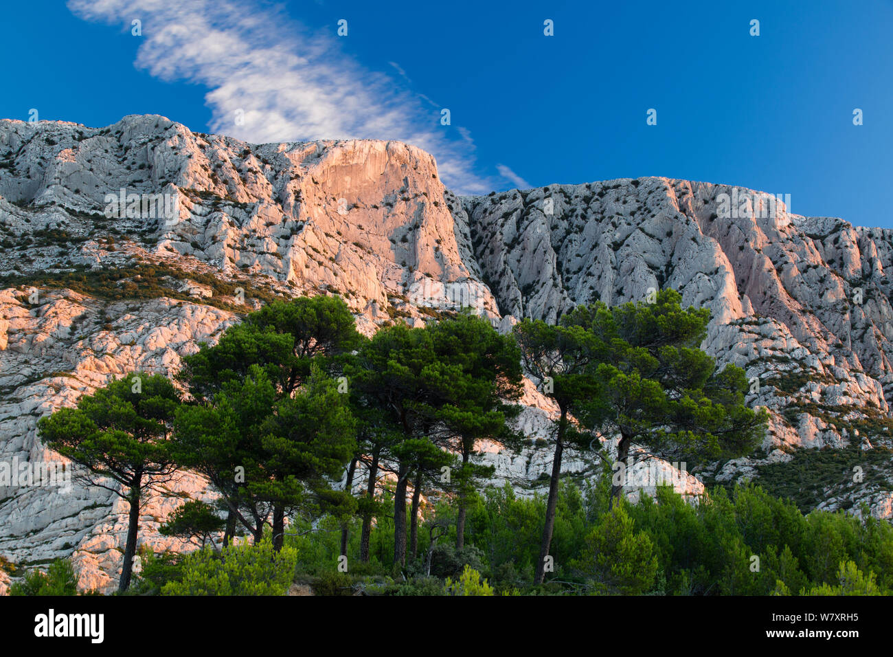 Montagne Sainte-Victoire all'alba, Var, Provenza, Francia, ottobre 2012. Foto Stock