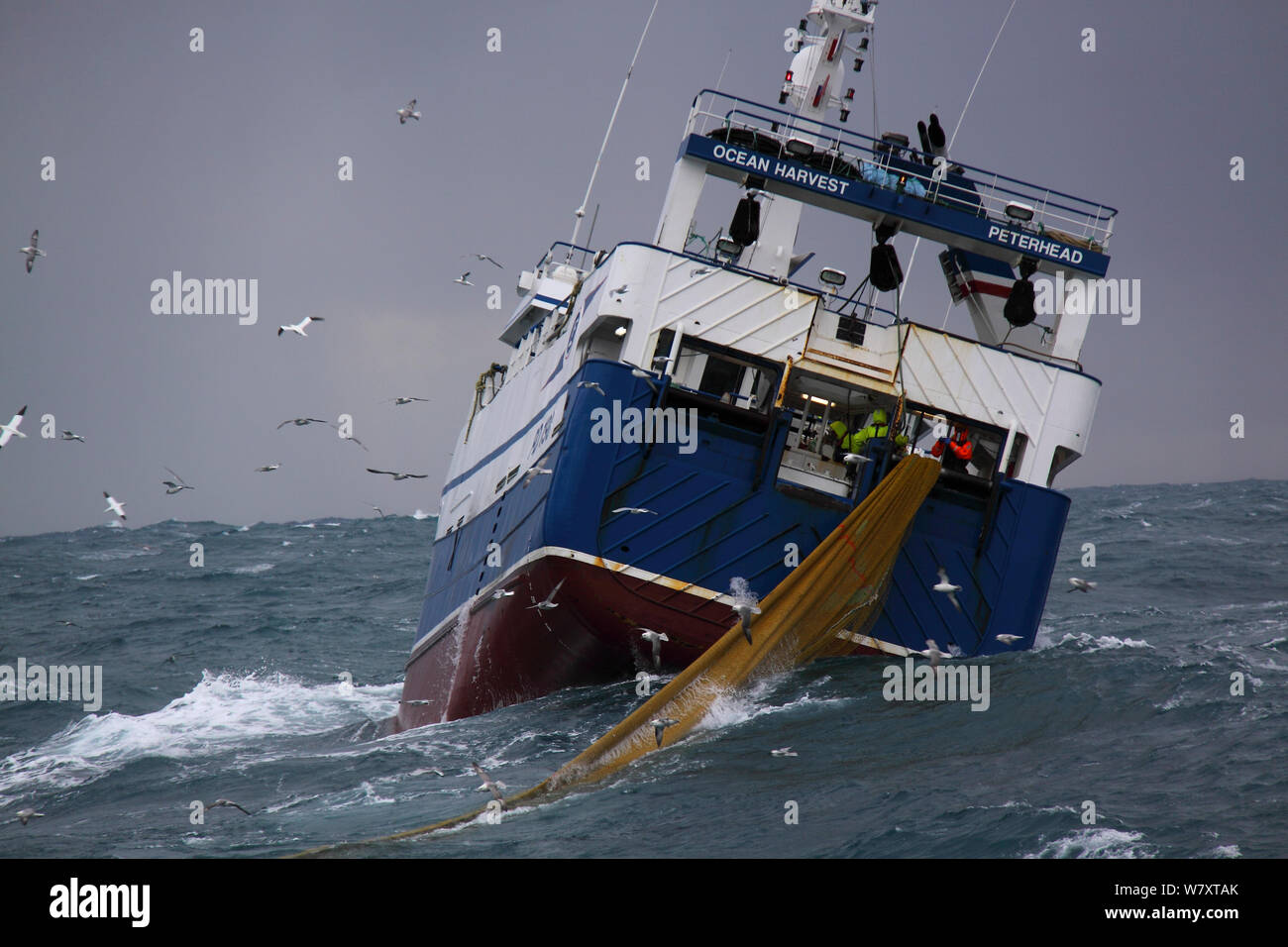 Nave da pesca &#39;Ocean Harvest&#39; il recupero di net durante la loro attività di pesca nel Mare del Nord, febbraio 2014. Tutti i non-usi editoriali deve essere eliminato singolarmente. Foto Stock