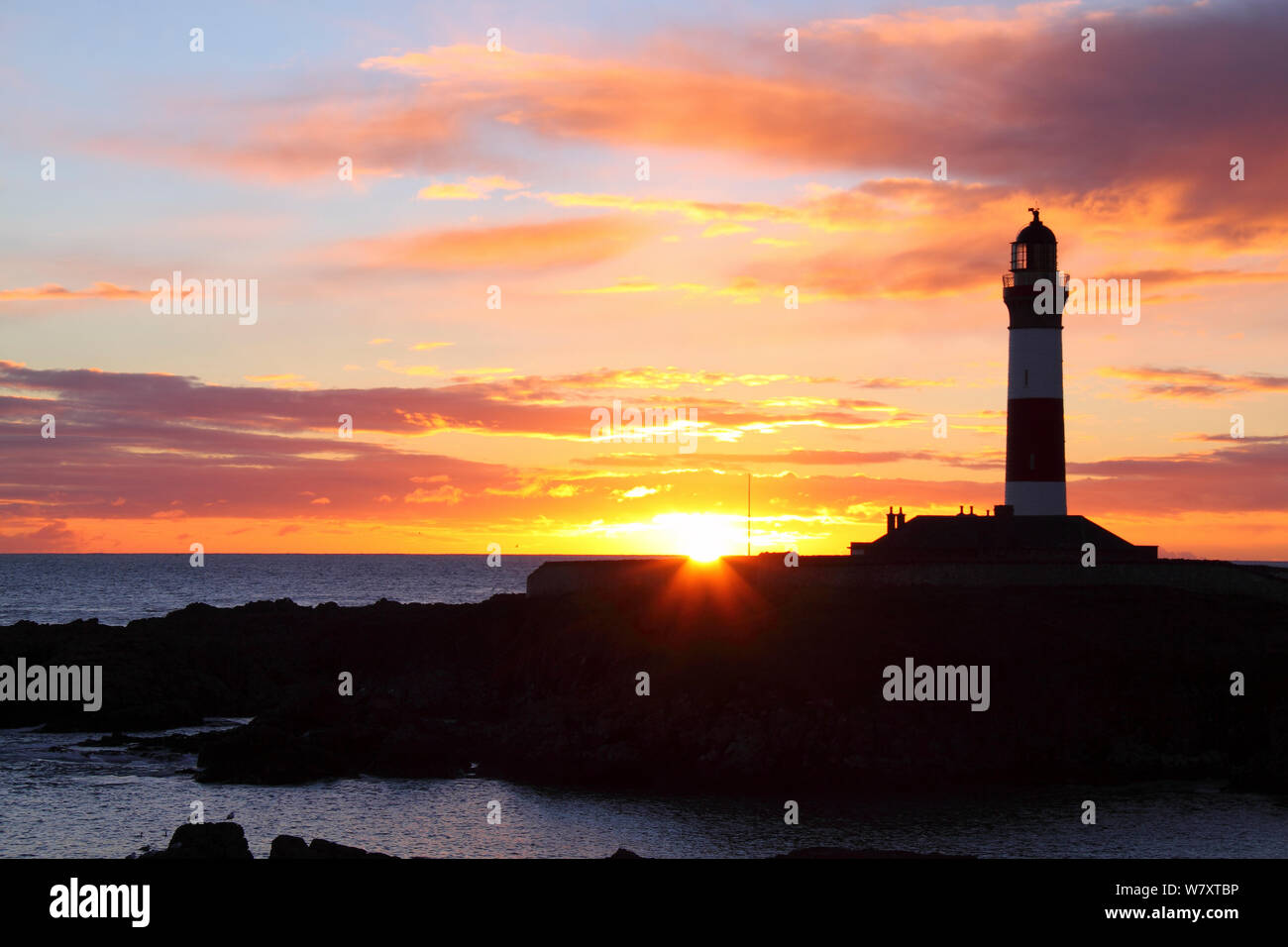 Buchan Ness faro di sunrise, Scozia, Gennaio 2014. Tutti i non-usi editoriali deve essere eliminato singolarmente. Foto Stock