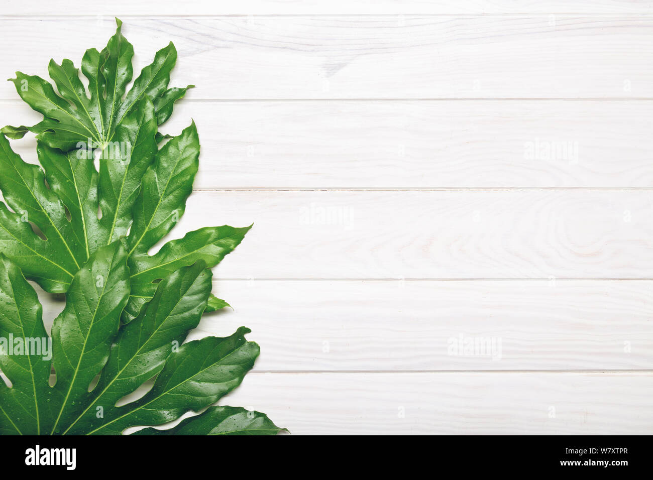 Vista dall'alto di foglie verdi su bianco sullo sfondo di legno. Lay piatto . Copia spazio per il testo. Foto Stock