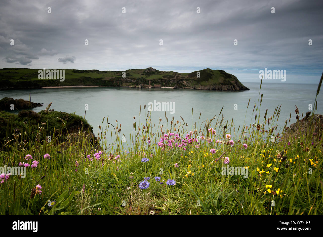 Vista della costa e abbandonata opere in mattoni a Porth Wen, Anglesey, Galles, ottobre 2012. Foto Stock