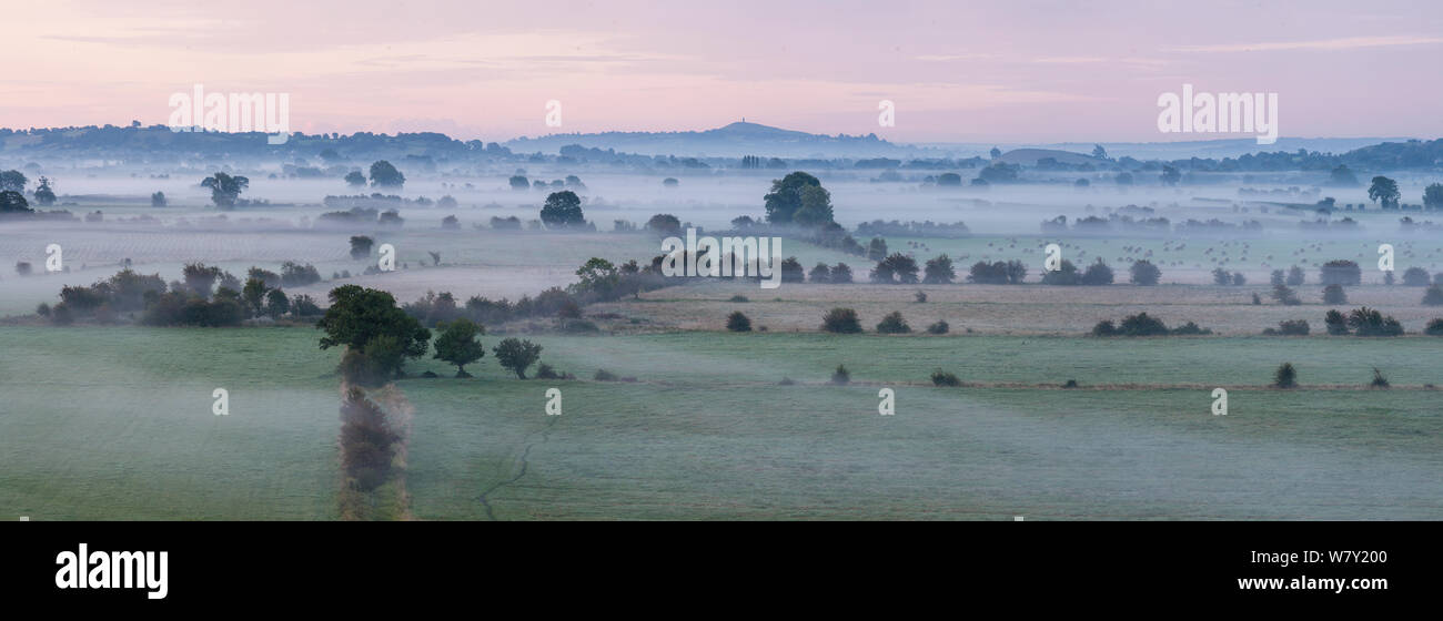 Basso nebulizzazione attraverso i livelli di Somerset, con Glastonbury Tor in background, Somerset, Regno Unito, Agosto, composito digitale. Foto Stock