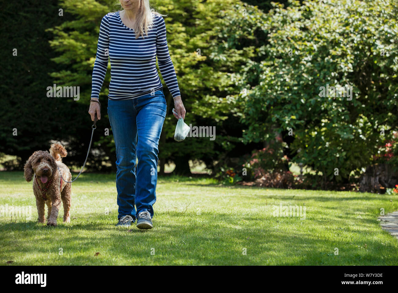 Un irriconoscibile persona che porta un poo borsa come lei prende il suo cane per una passeggiata in un parco pubblico. Foto Stock