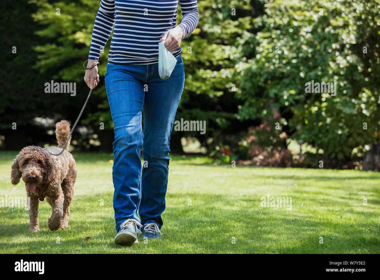 Un irriconoscibile persona che porta un poo borsa come lei prende il suo cane per una passeggiata in un parco pubblico. Foto Stock