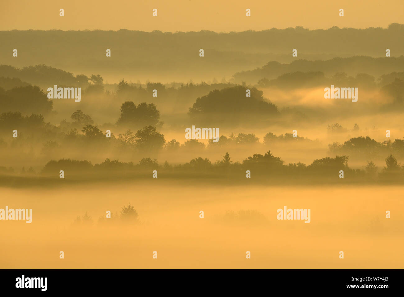 Nebbia di mattina sulla campagna, Vosges, Francia, settembre 2014 Foto Stock