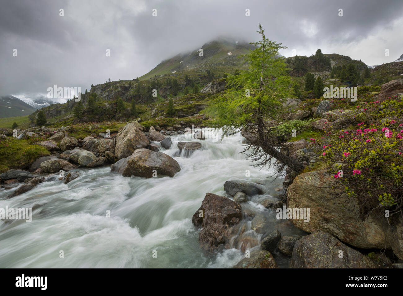 Rocky Mountain stream, Kaunertal Natura Park, Nordtirol, Alpi austriache, luglio 2014. Foto Stock