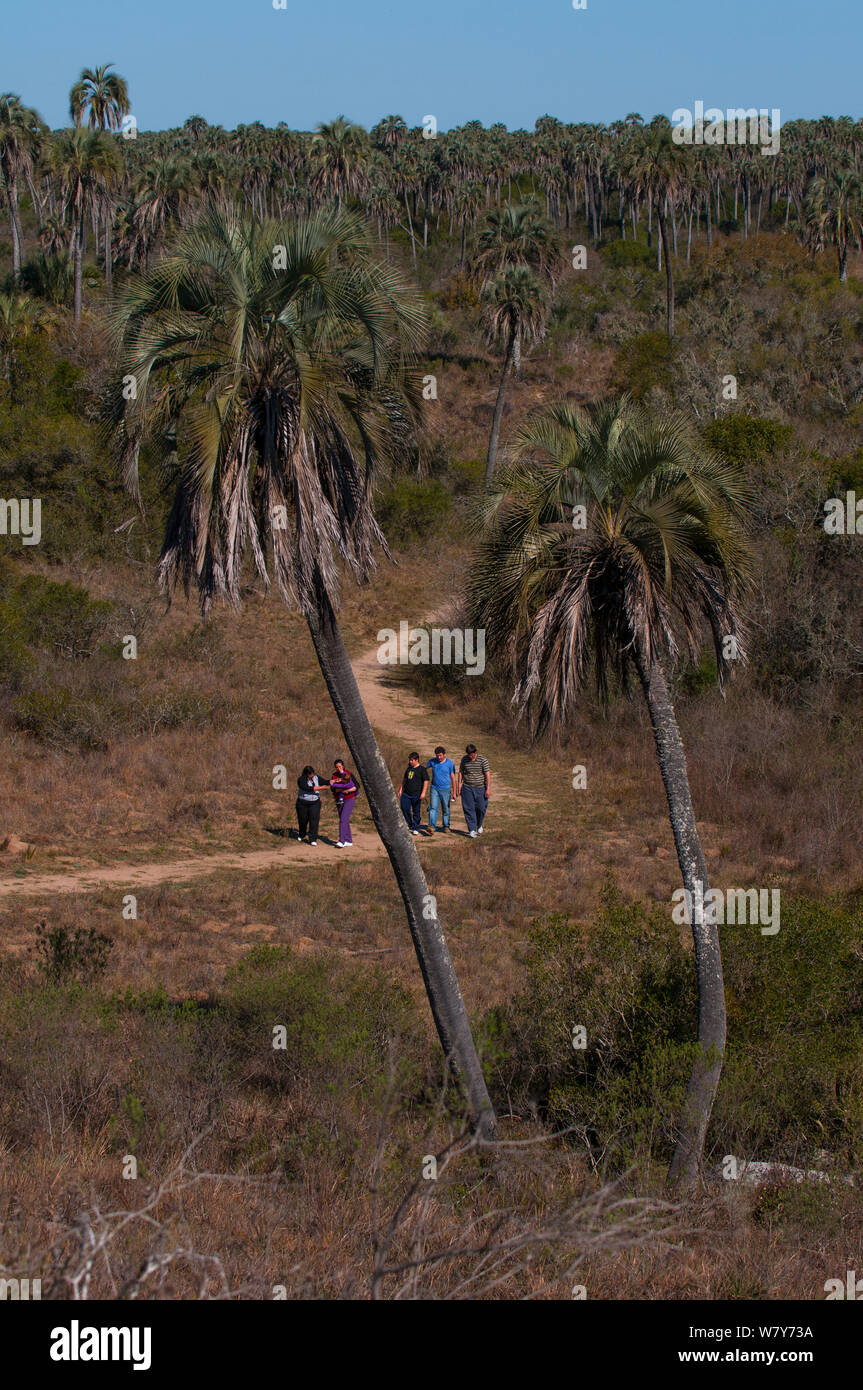 I turisti a piedi lungo il sentiero, El palmar National Park, Entre Rios Provincia, Argentina, Agosto 2009. Foto Stock