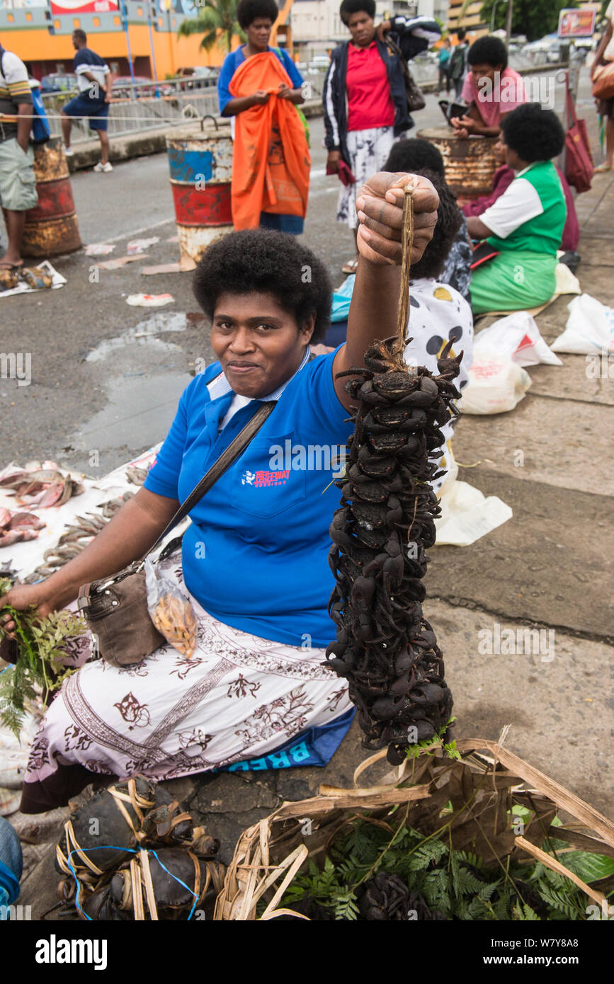 Donna locale con stringa di vivere i granchi di fango (Scilla sp) per vendita, Suva Mercato di frutti di mare, Viti Levu, Figi, Sud Pacifico, aprile 2014. Foto Stock