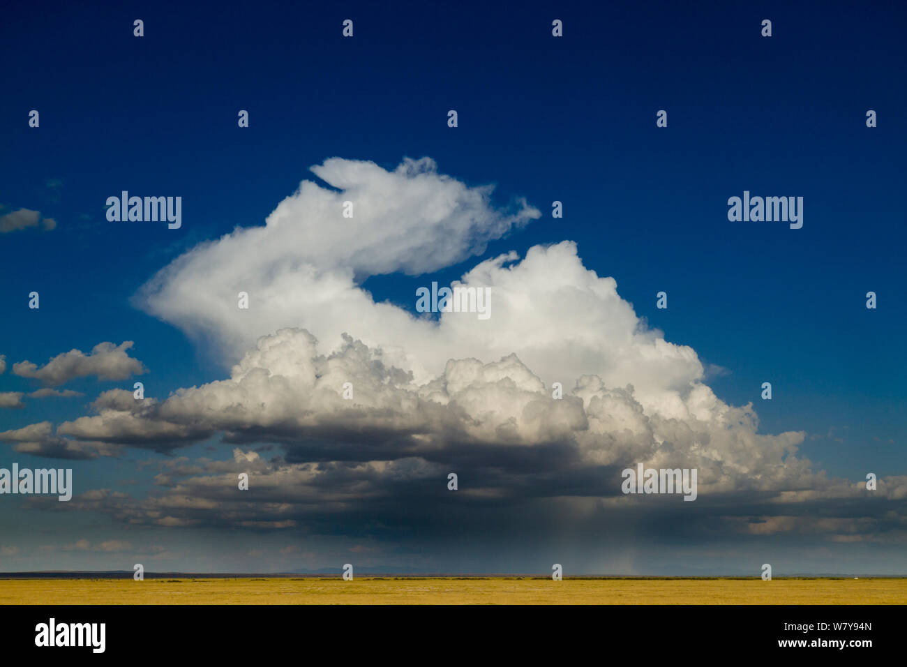 Nuvole sopra la pianura nella stagione secca, Amboseli National Park in Kenya. Ottobre 2010. Foto Stock