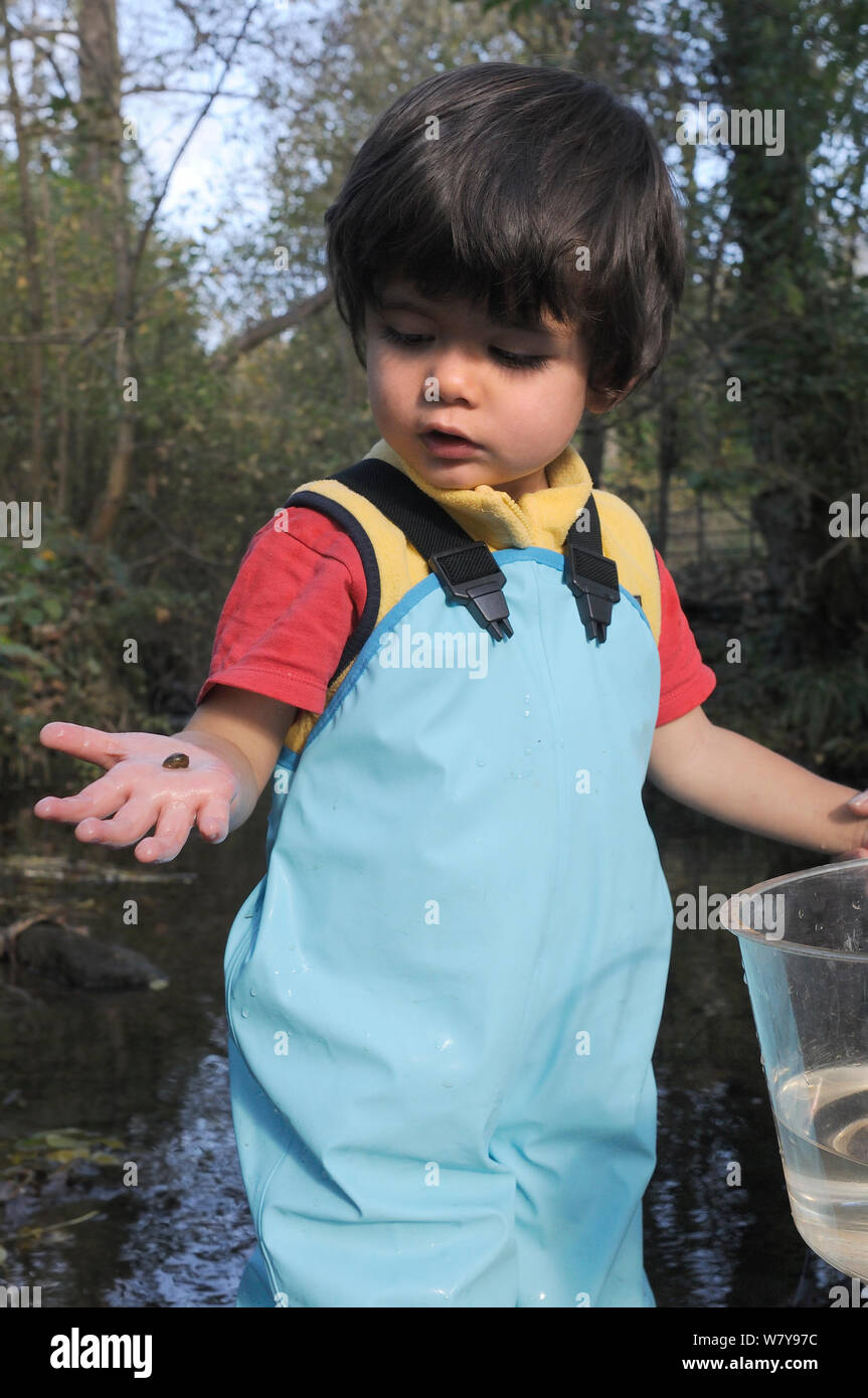 Ragazzo che guarda alla lumaca di stagno ha catturato nel flusso, ha tenuto nelle sue mani, Bristol, Regno Unito, ottobre 2014. Modello rilasciato. Foto Stock