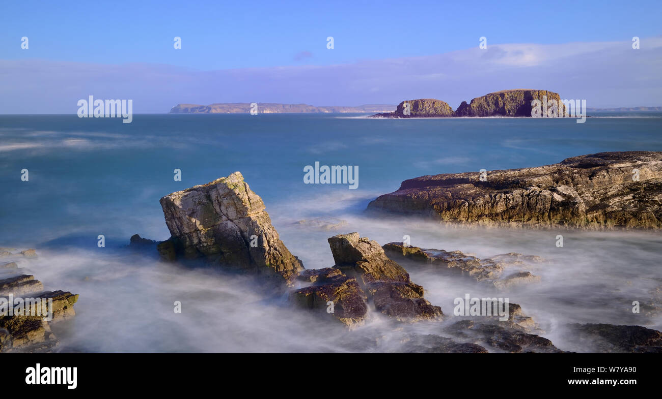 Vista delle pecore isola da Ballintoy Harbour, County Antrim, Irlanda del Nord, Regno Unito. Febbraio 2014. Foto Stock