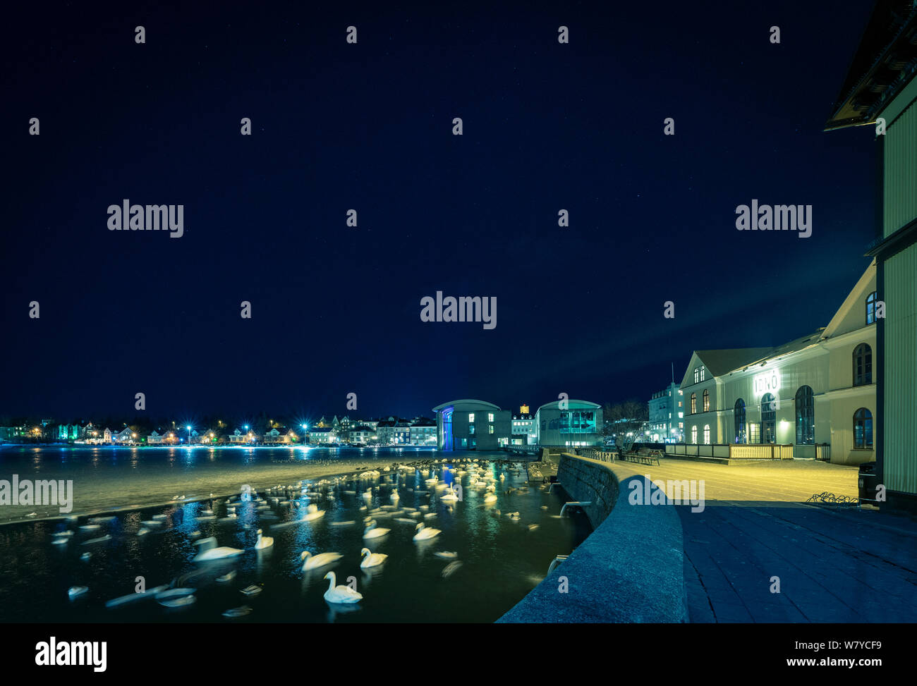 Reykjavik stagno di notte, Reykjavik, Islanda Foto Stock
