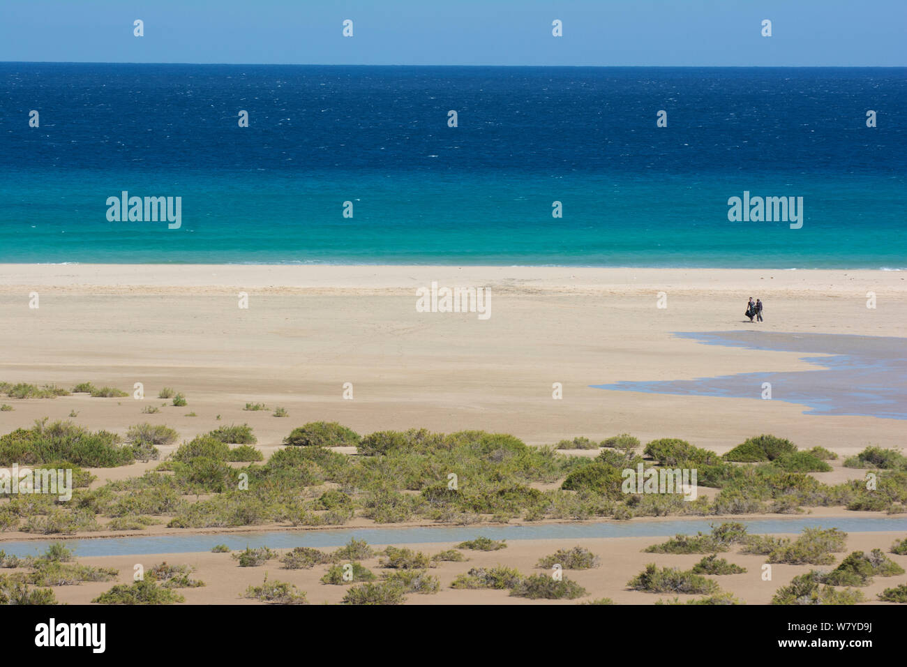 I turisti a piedi lungo la spiaggia con oceano blu luminoso, Fuerteventura, Isole Canarie. Aprile 2013. Foto Stock