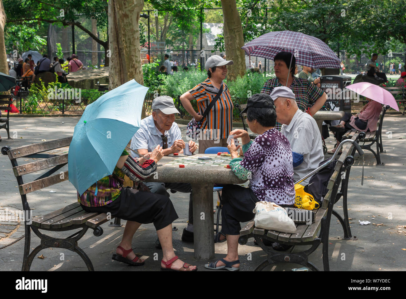 Columbus Park, vista in estate dei membri della comunità cinese giocando a carte in Columbus Park a Chinatown, il centro di Manhattan, New York City, Stati Uniti d'America Foto Stock