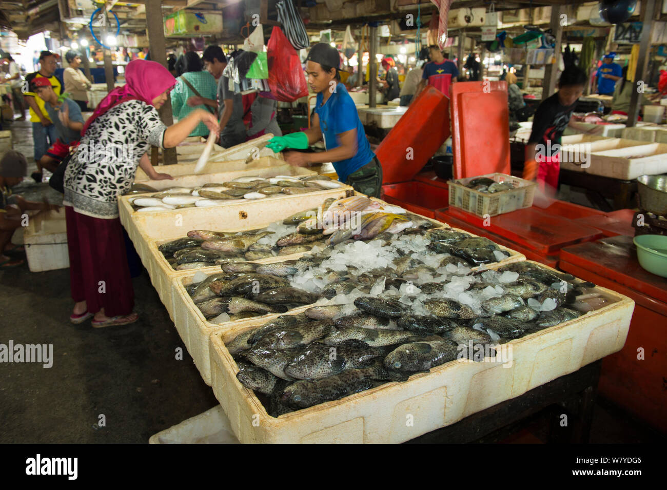 I pescatori e gli acquirenti al mercato del pesce, Bali, Indonesia, Agosto 2014. Foto Stock