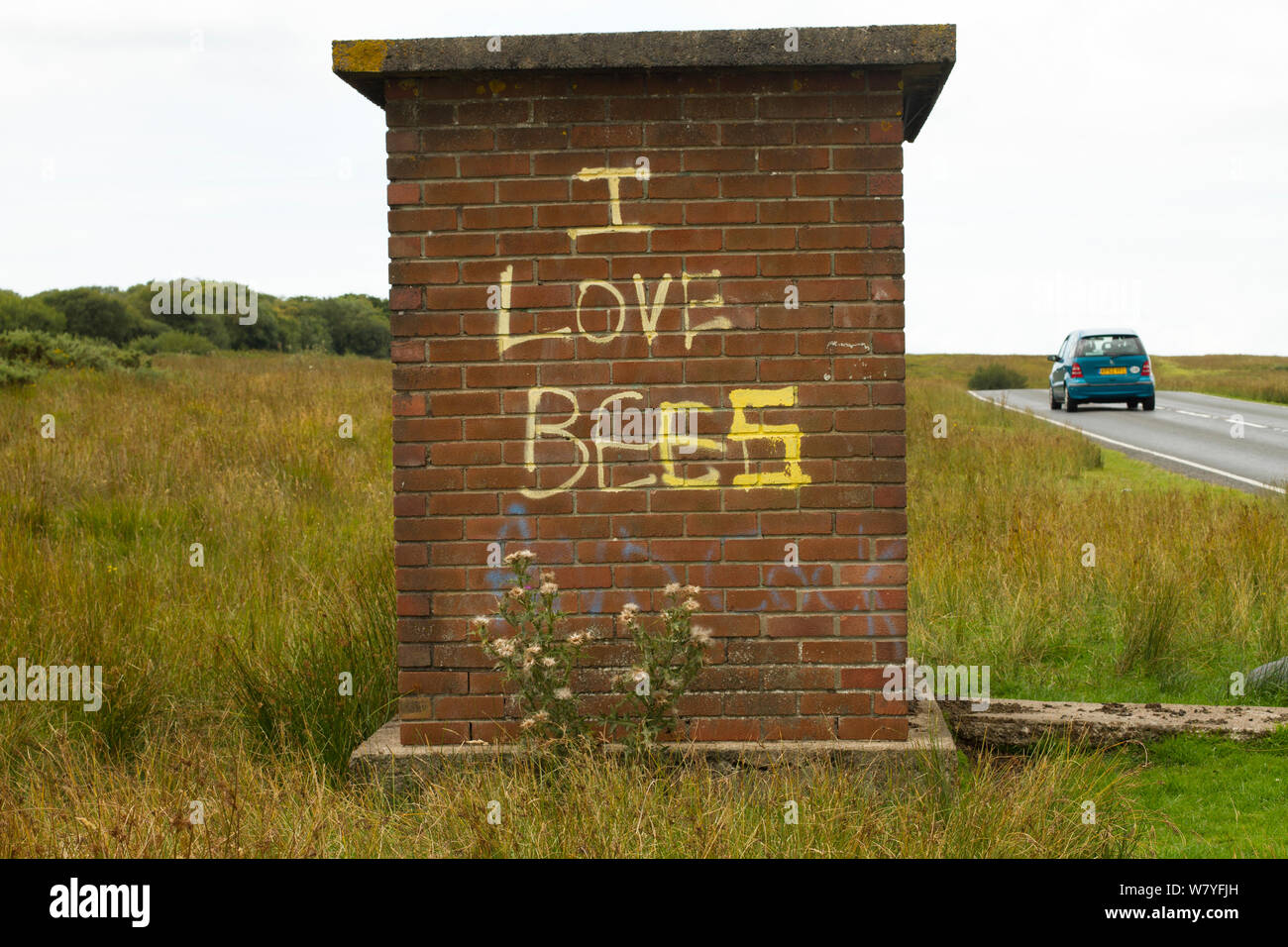 I graffiti sulla vecchia fermata degli autobus dicendo &#39;io amo le api&#39;, Gower, West Wales, Regno Unito. Agosto 2014. Foto Stock