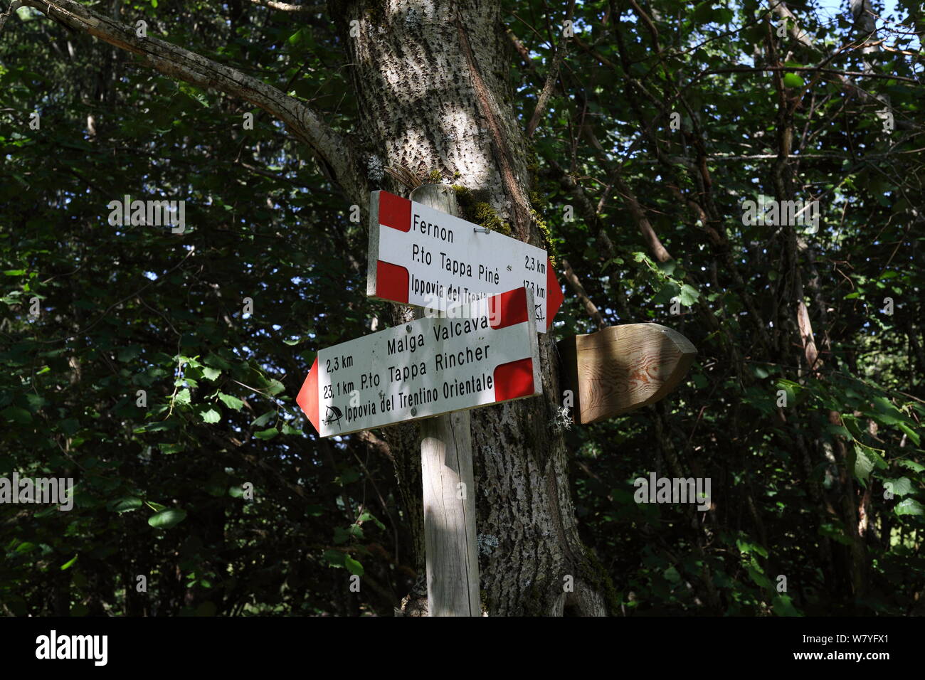 Segni con le indicazioni per alta i sentieri di montagna in Trentino Alto Adige, Italia Foto Stock