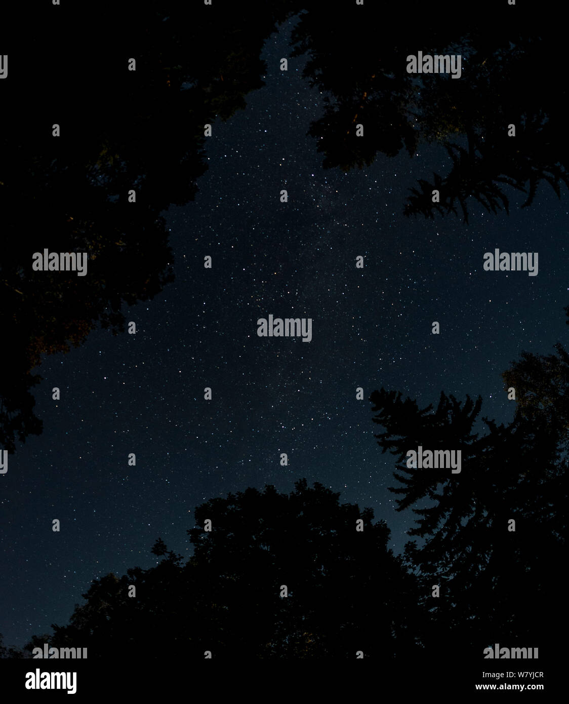 Notte cielo di Jyvaskyla, Keski-Finland / Finlandia centrale, Finlandia, settembre. Foto Stock