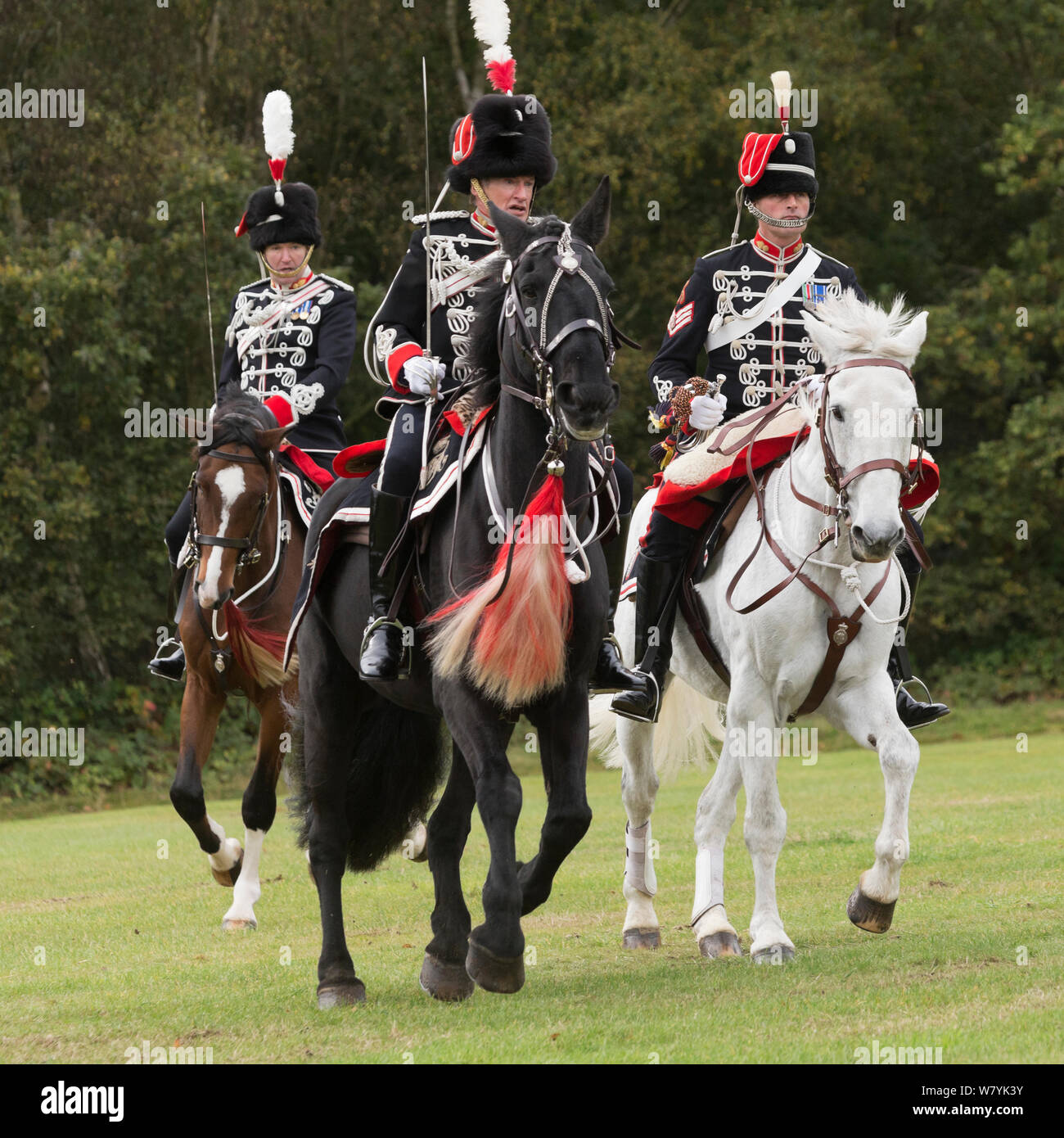 L' onorevole compagnia di artiglieria, la seconda più antica di organizzazione militare nel mondo, sfilate per la sua revisione annuale al Guards Polo Club, Smith Prato, in Windsor Great Park, Regno Unito. Ottobre 2014. Foto Stock