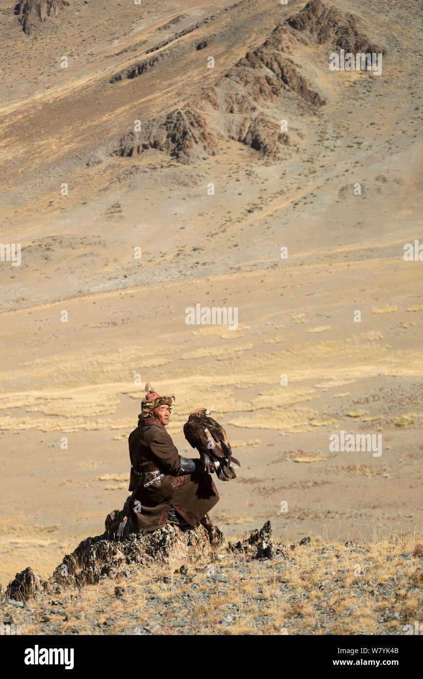 Eagle hunter che affaccia sulla pianura con aquila reale (Aquila chrysaetos) vicino Sagsai, Bayan-Ulgii Aymag, Mongolia. Settembre 2014.. Foto Stock