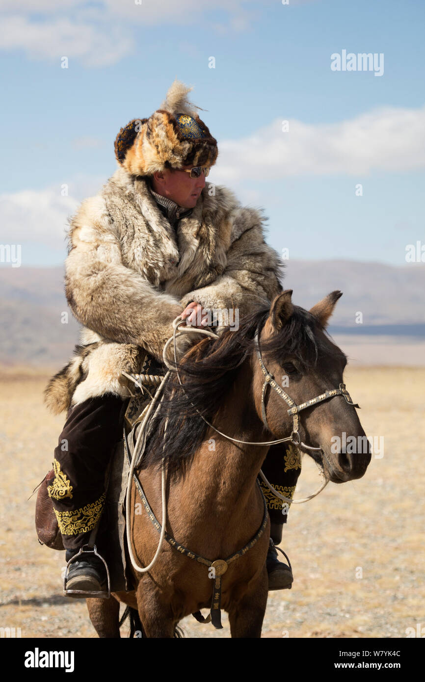 Eagle hunter montato sul cavallo mongola ad Eagle Hunters Festival, vicino Sagsai, Bayan-Ulgii Aymag, Mongolia. Settembre 2014.. Foto Stock
