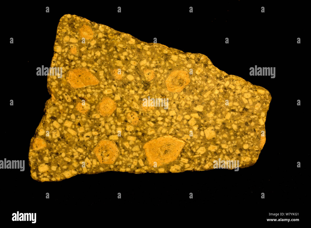 Il quarzo monzonite, Orso dente montagne, Montana, USA. Foto Stock