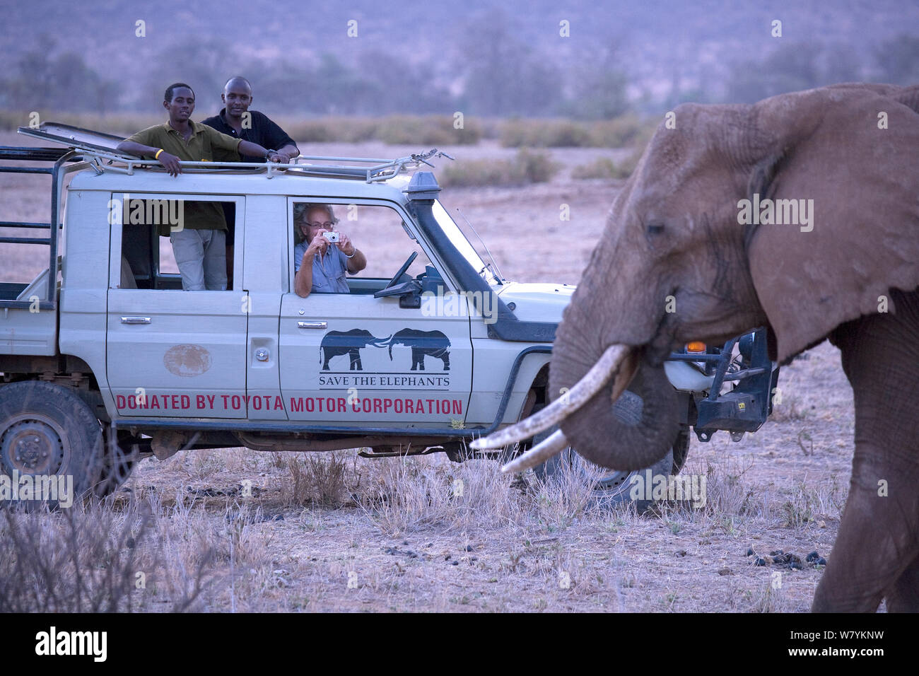 I ricercatori la visione di elefante africano (Loxodonta africana) dal veicolo, Samburu Riserva nazionale del Kenya. Modello rilasciato Foto Stock