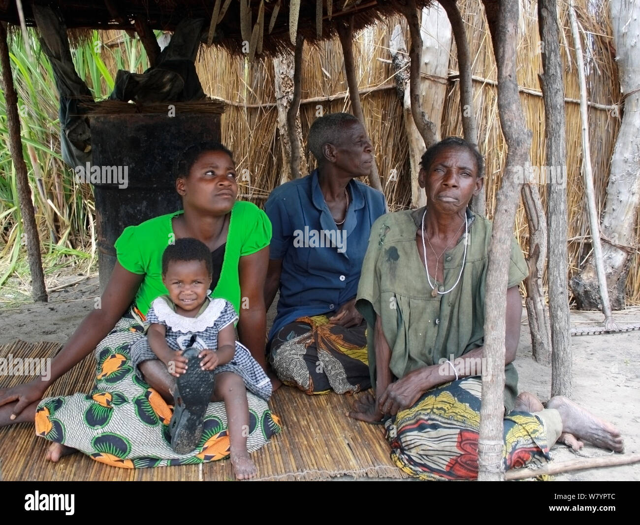 Famiglia illegalmente liquer infusore, Sioma Nqwezi Park, Zambia. Novembre 2010. Foto Stock