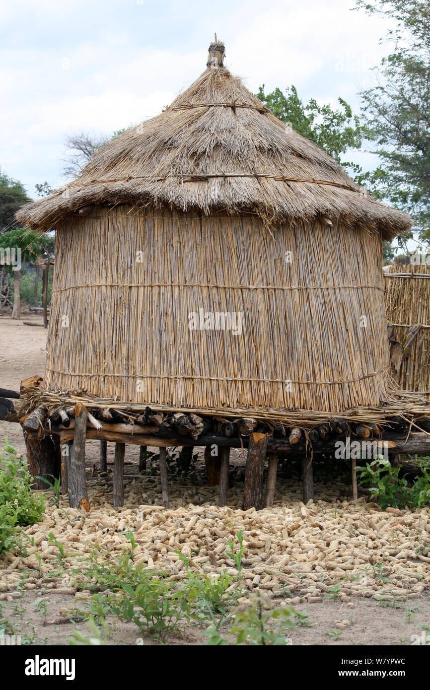 Granaio di un villaggio Lozi, Sioma Nqwezi Park, Zambia. Novembre 2010. Foto Stock