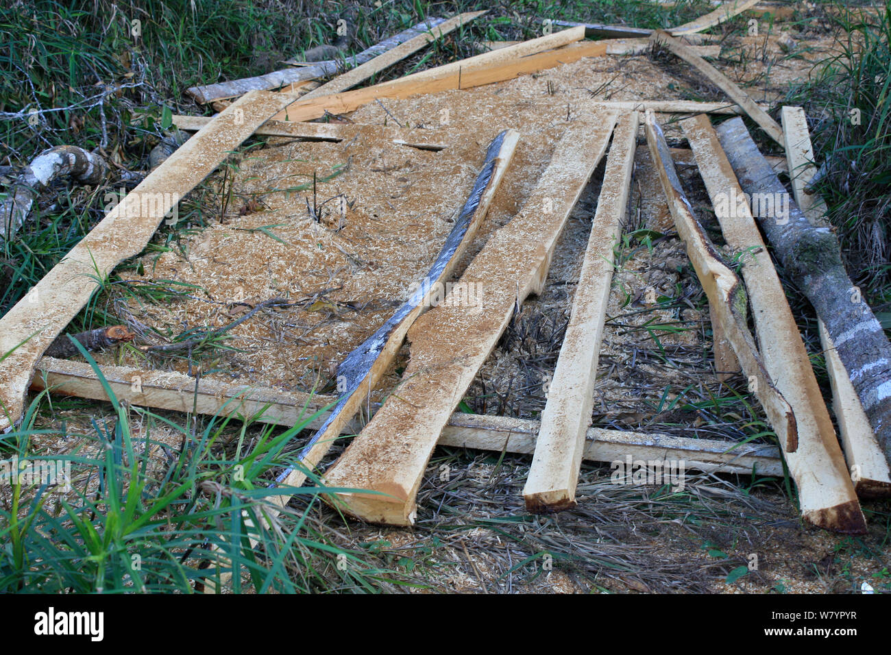 Terre deforestate con legname e terreno sbiancato, Kalimantan centrale, Borneo Indonesiano. Giugno 2010. Foto Stock