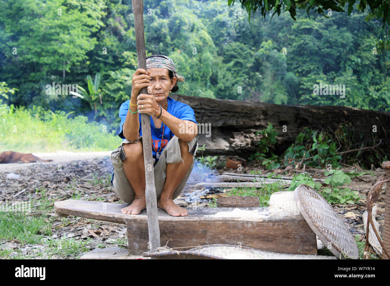 Donna Dayak pounding riso, Kalimantan centrale, Indoneisan Borneo. Giugno 2010. Foto Stock