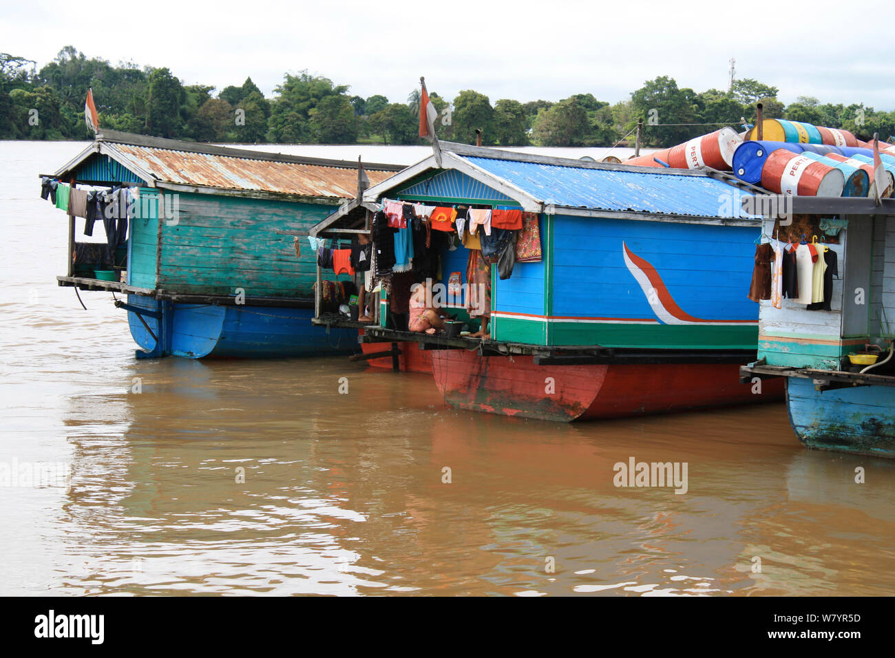 Casa barche sul fiume Kapuas, fuori Singkawang, West Kalimantan, Borneo Indonesiano. Luglio 2010. Foto Stock
