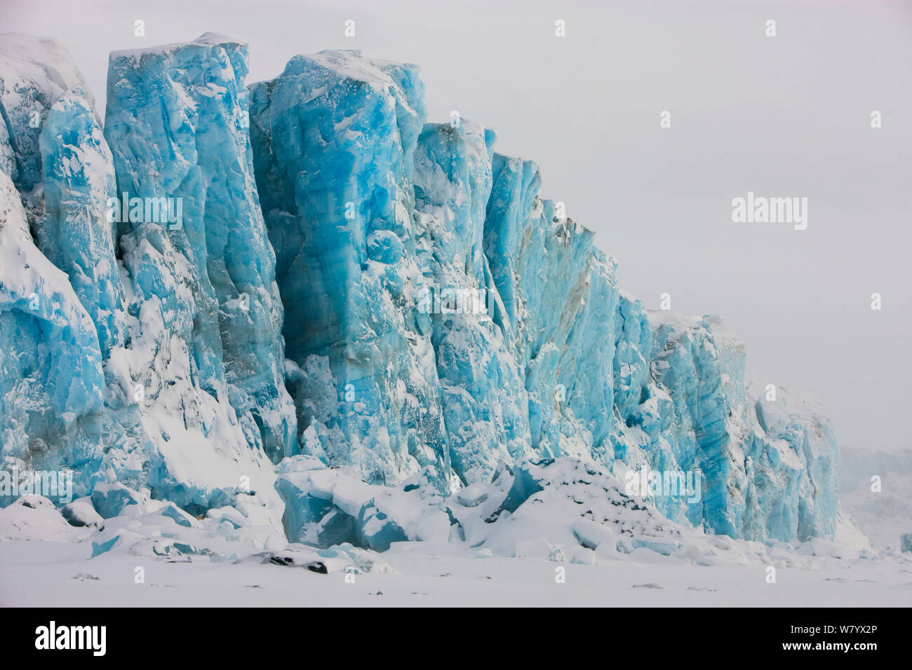 Orso polare (Ursus maritimus) alla base di massicce scogliere del ghiacciaio blu ghiaccio, Spitsbergen, Svalbard, Norvegia, Marzo. Foto Stock