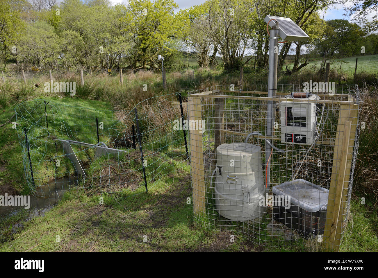 V-dam stazione di misurazione il monitoraggio del flusso di acqua e di qualità al di sopra di una serie di dighe costruite dai castori eurasiatica (Castor fiber) entro il contenitore grande, Devon Beaver Progetto, Devon Wildlife Trust, Devon, Regno Unito, maggio. Foto Stock
