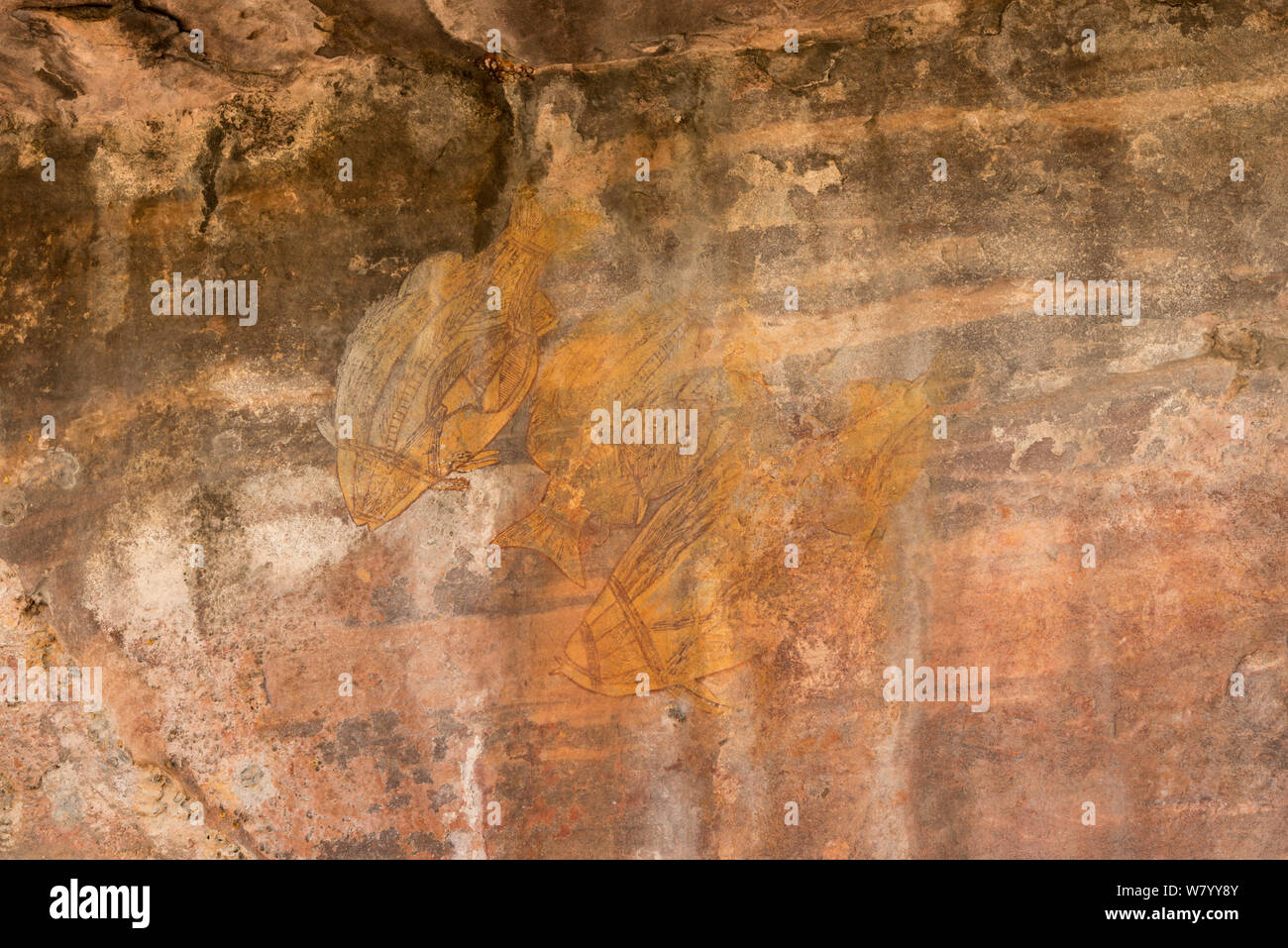 Arte rupestre degli Aborigeni di pesce, il Parco Nazionale Kakadu, Territorio del Nord, l'Australia. Dicembre 2012. Foto Stock