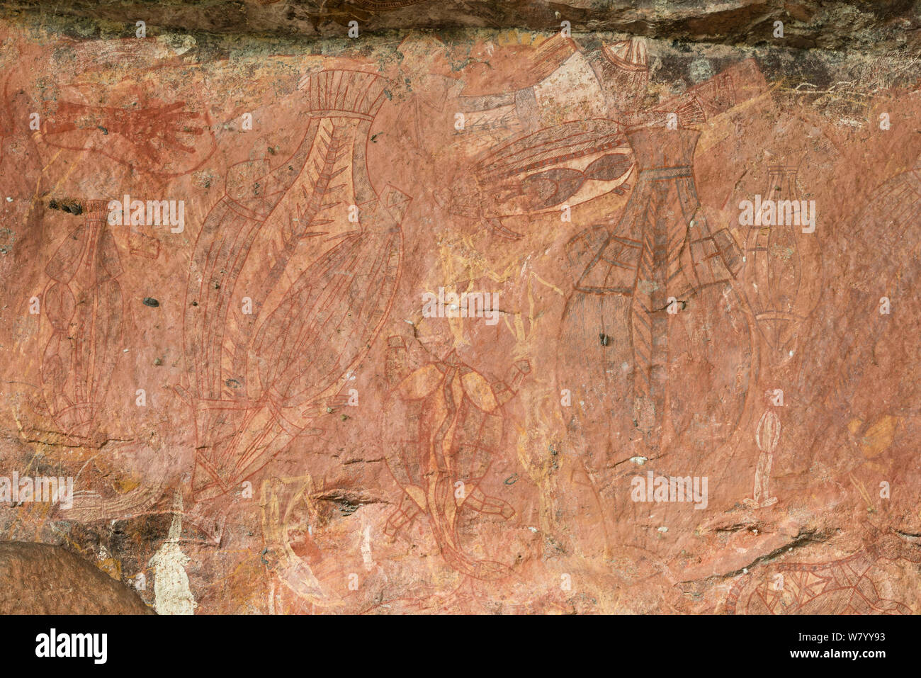 Arte rupestre degli Aborigeni incluse tartarughe, Parco Nazionale Kakadu, Territorio del Nord, l'Australia. Dicembre 2012. Foto Stock