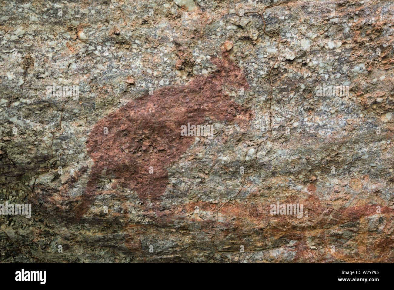 Arte rupestre degli Aborigeni di wallaby, Parco Nazionale Kakadu, Territorio del Nord, l'Australia. Foto Stock