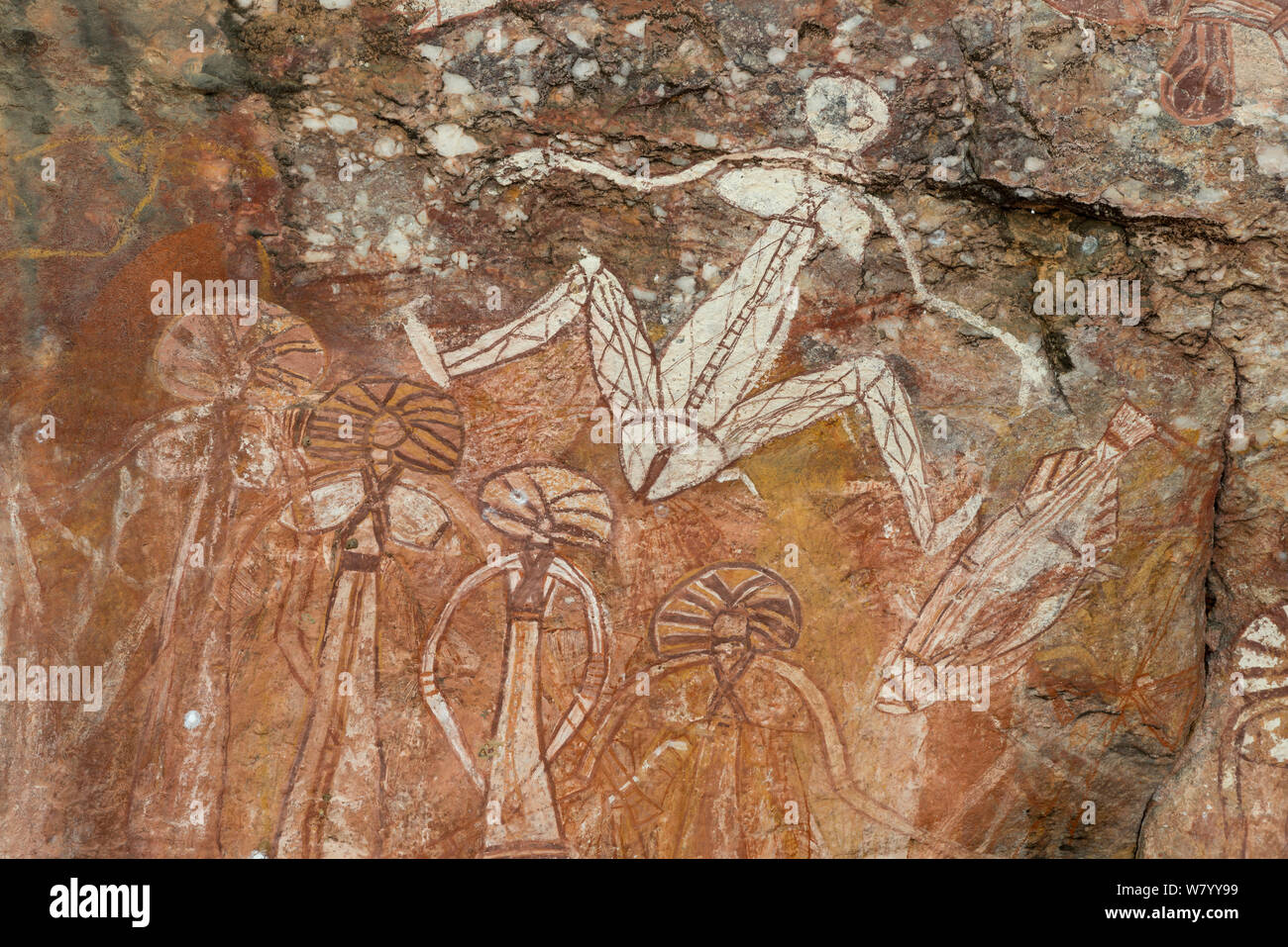 Arte rupestre degli Aborigeni di figura maschile, il Parco Nazionale Kakadu, Territorio del Nord, l'Australia. Dicembre 2012. Foto Stock