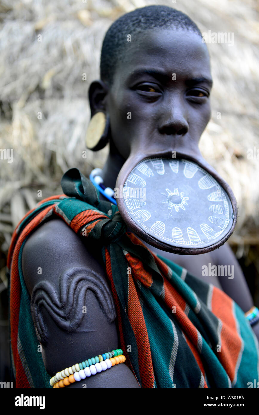 Donna con piastra a labbro, il che significa che lei è una donna sposata, anche lei ha scarification tradizionale sul suo braccio, tribù dei Mursi, Parco Nazionale di Mago. Etiopia, Novembre 2014 Foto Stock