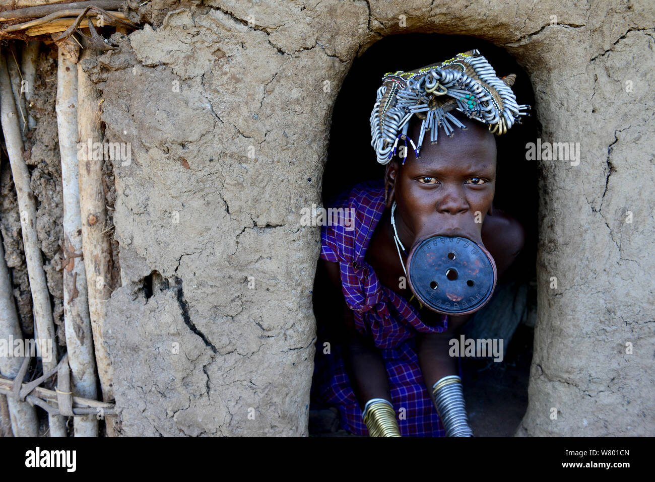 Donna con piastra a labbro, il che significa che lei è una donna sposata, la tribù dei Mursi, Parco Nazionale di Mago. Etiopia, Novembre 2014 Foto Stock