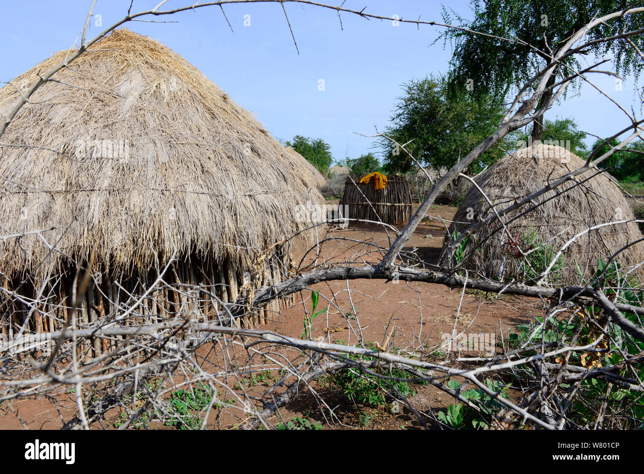 Villaggio dei Mursi. Rifugi. Etiopia, Novembre 2014 Foto Stock