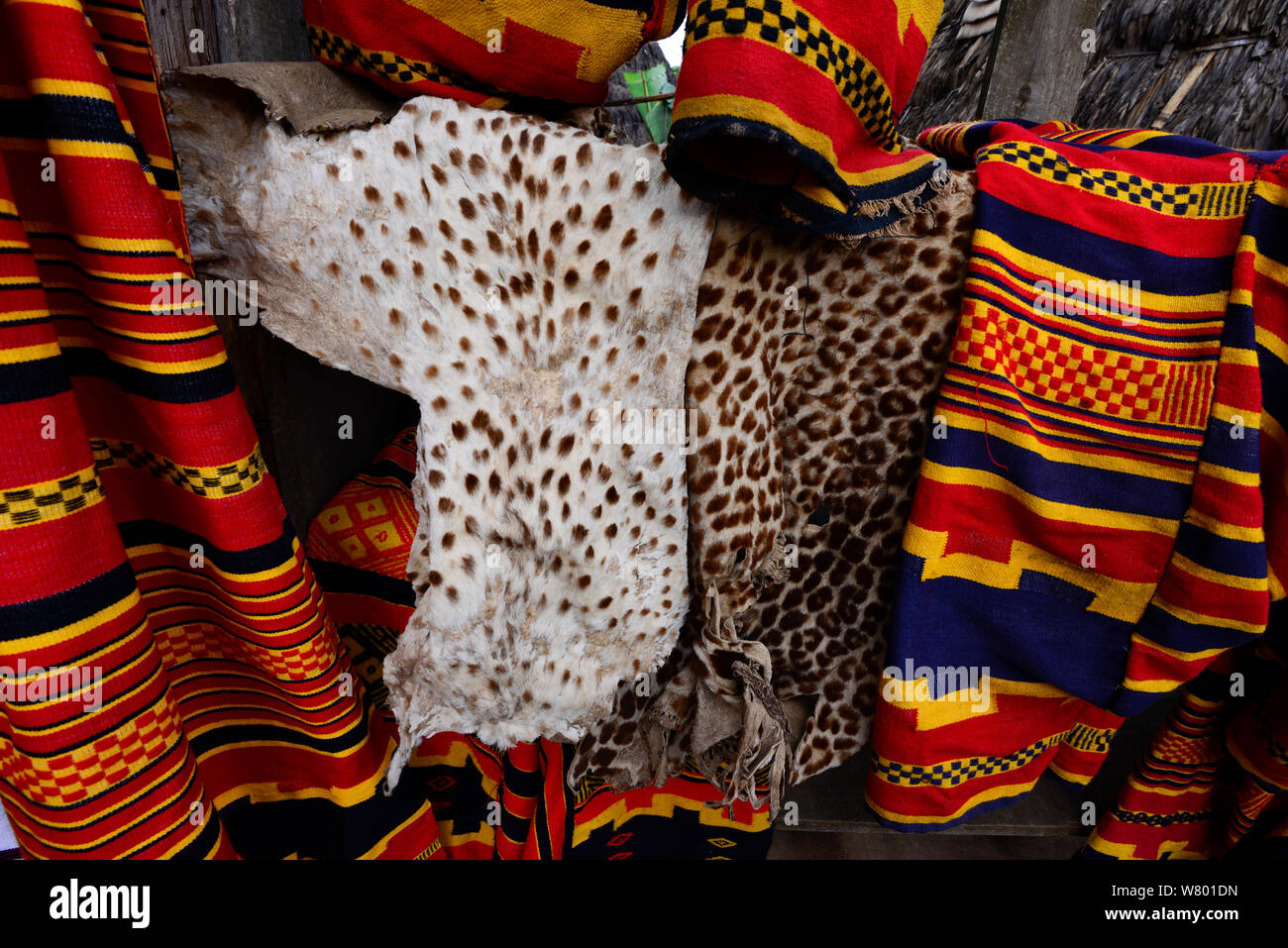 Ghepardo (Acinonyx jubatus) e pelli di Leopard (Panthera pardus) per uso in cerimonie e feste. Dorze village. Etiopia, Novembre 2014 Foto Stock