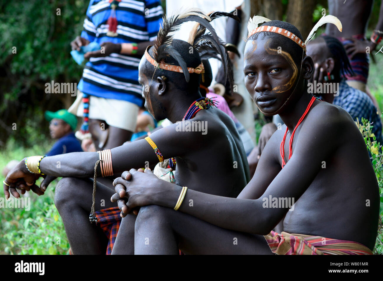 Gli uomini guardando il salto del tori Hamer cerimonia, un diritto di passaggio per i giovani Hamer ragazzi. Etiopia, Novembre 2014 Foto Stock