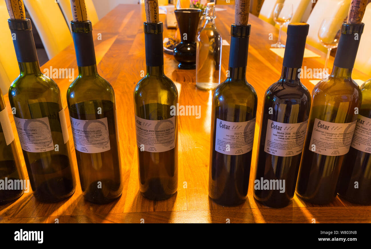 Bottiglie di vino in branco Cotar Winery, Verde Carso, Slovenia, ottobre 2014. Foto Stock