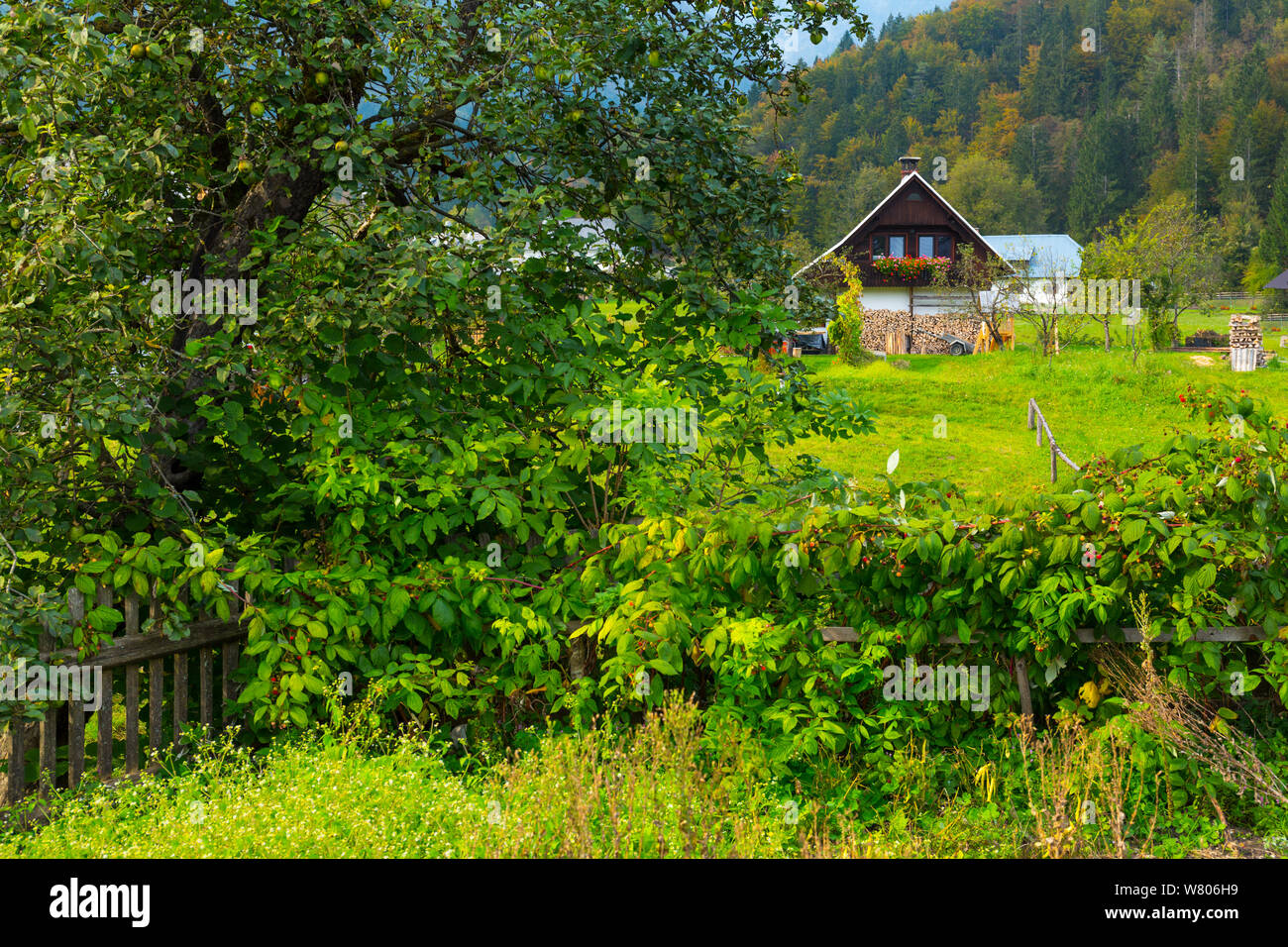 Stara Fuzina village, Bohinj , Alta Carniola, Slovenia, ottobre 2014. Foto Stock