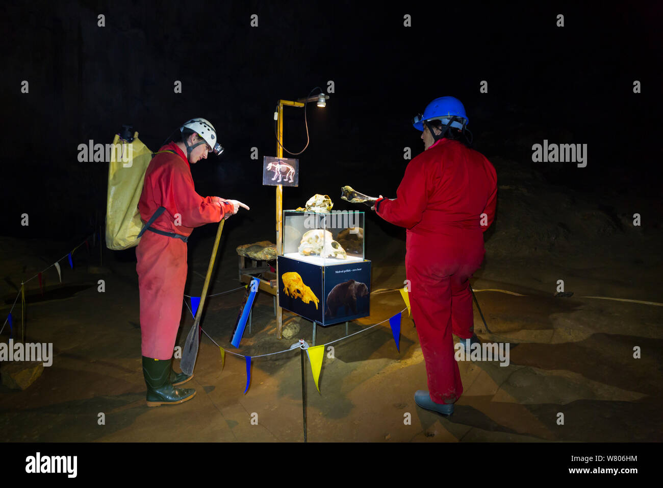 Persone alla mostra di orso delle caverne (Ursus spelaeus) ossa in croce (Grotta Krizna jama), Krizevac, Verde Carso, Slovenia, ottobre 2014. Foto Stock
