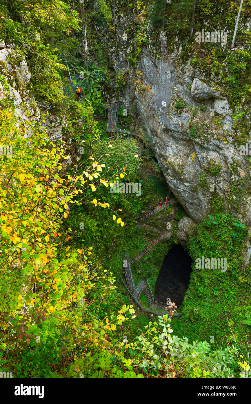 Le scale fino in Pivka grotta, Postojna Area verde, Carso, Slovenia, Ottobre. Foto Stock