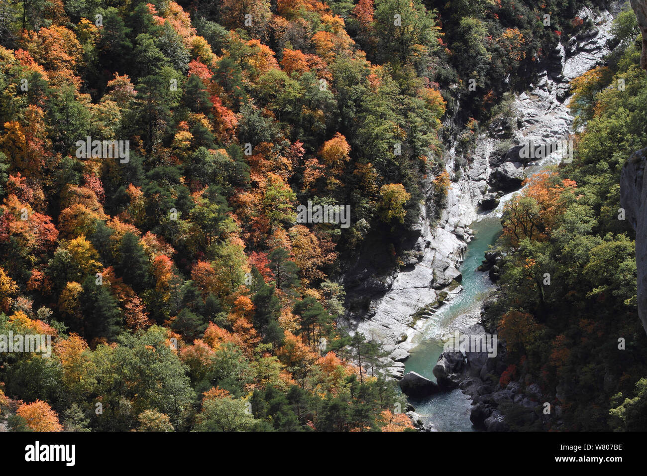 Fiume che scorre attraverso il Verdon Gorge / Gorges du Verdon in autunno, Verdon Parco Naturale Regionale, Alpes de Haute Provence, Provenza, Francia, ottobre Foto Stock