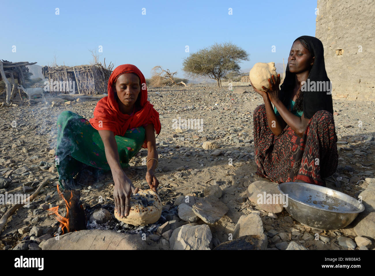 Etnia Afar donne la cottura del pane con una pietra calda sul fuoco aperto, Malab-Dei village, Danakil depressione, regione di Afar, Etiopia, marzo 2015. Foto Stock