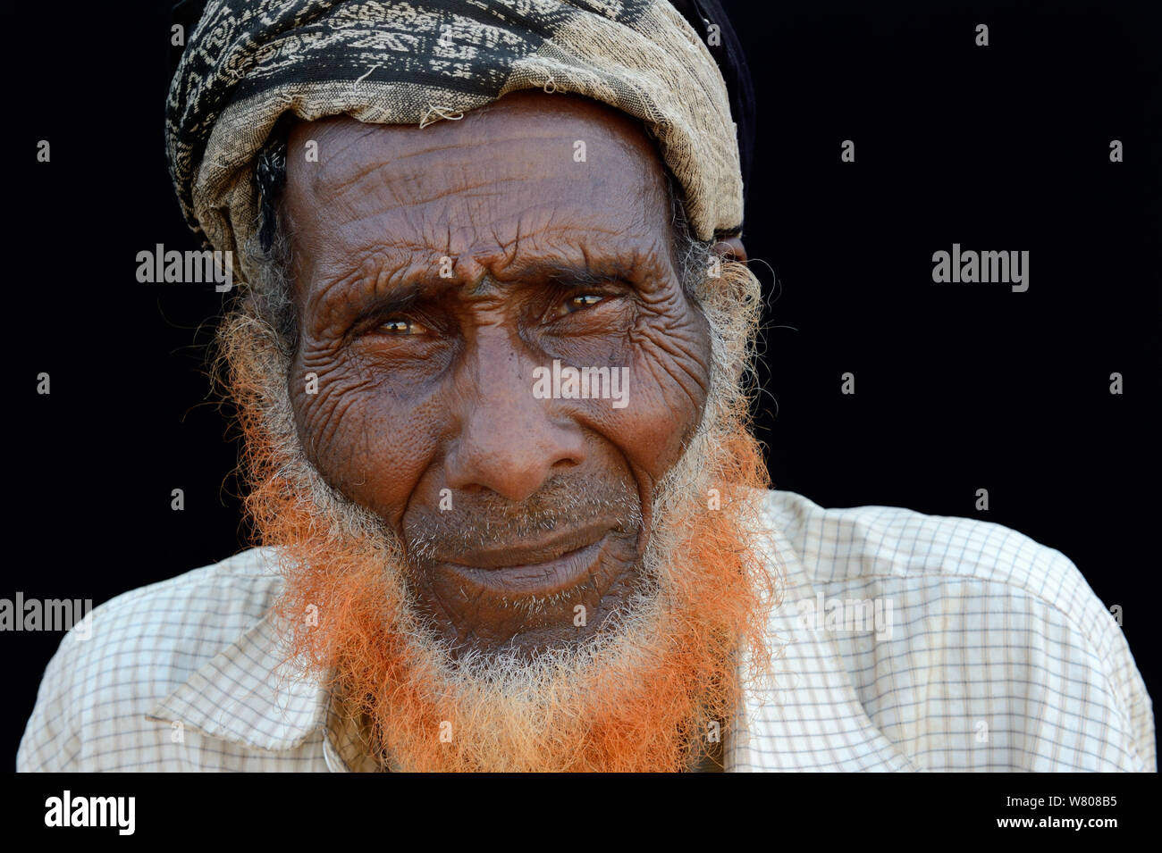 Ritratto di testa di vecchio uomo Afar, con barba tinti con henné, Ahmed Ela village, Danakil depressione, regione di Afar. Etiopia, marzo 2015. Foto Stock
